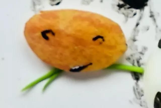 燕阵|趣味早餐食谱：又大又好吃的韭菜鲜肉大馄饨