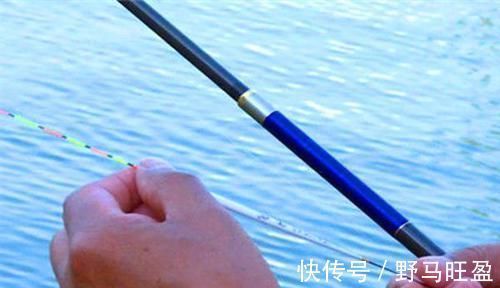 钓鱼技巧:详解带饵调漂,公认最科学的调漂方法,没有之一!