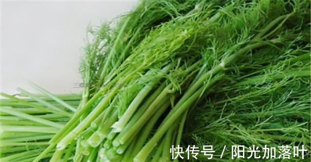 味辛性温|入伏后,不管有钱没钱,这5种“扶阳食”别忘了吃,老传统不能丢!