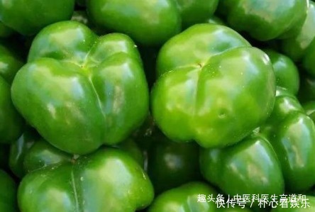 中老年人|青椒是天然“不老药”,但要知道吃青椒的2个禁忌,吃对了才健康