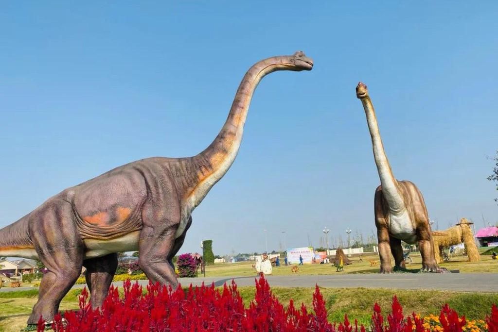 老年|成都5个超赞的户外乐园，适合春节1日游，一天来回不出大成都