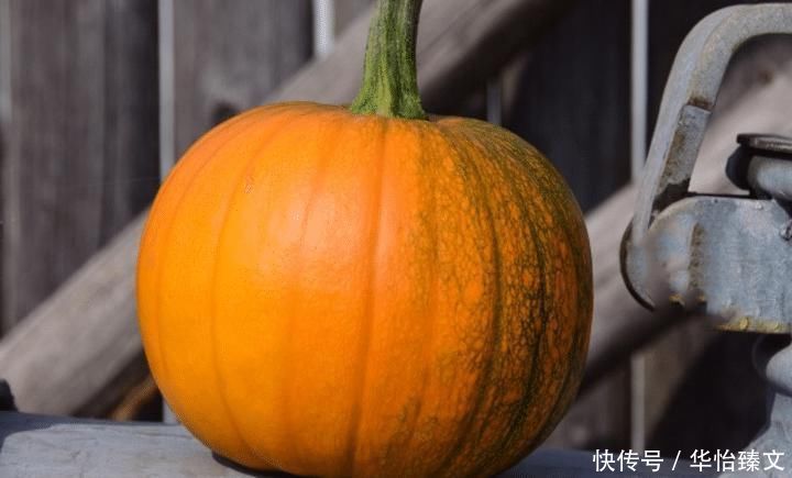 入冬多吃此菜,6毛钱一斤,上锅一炸外酥里鲜,一家老小都爱吃