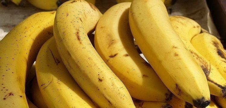 黄香菇|心脏不好的人,多吃“2黄”,心脏会越来越好