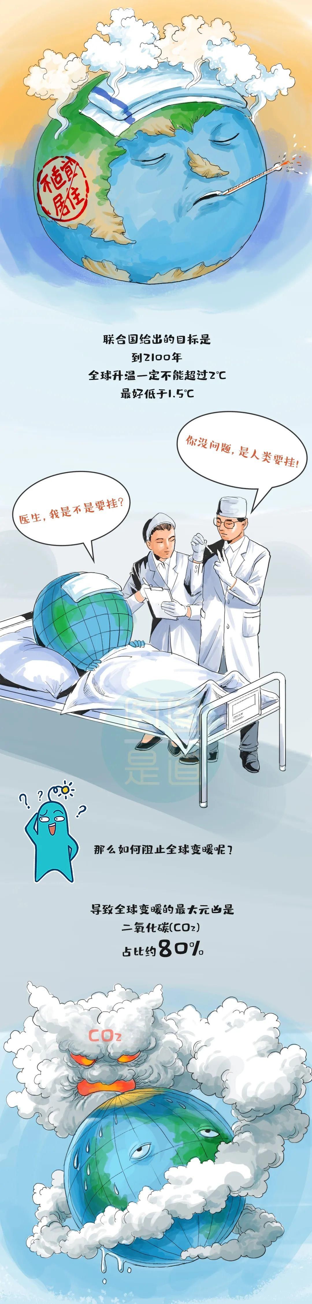 假如东北也能种榴莲，想想都可怕......