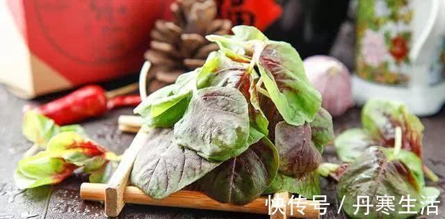 肝脏|肝病的“天敌”终于找到了, 早晚喝一杯, 排净肝毒, 肝越来越好