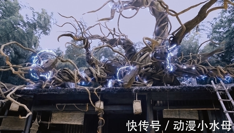 唐三|《斗罗大陆》没特效?“臻彩”下的曼陀罗蛇,观众被“吓”的不轻