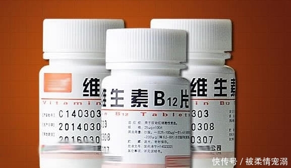 年前年后,就去这个地方捡花养,不花一分钱!