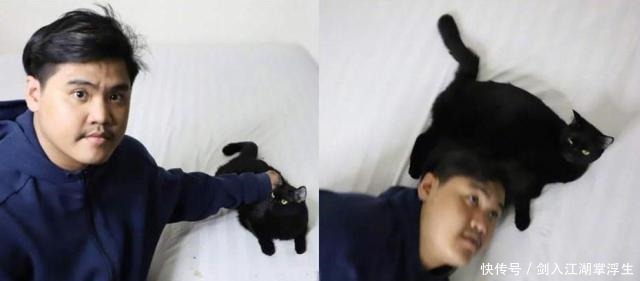 猫眼|泰国小哥最近和猫卯上了,黑猫白猫轮番上,猫眼里都是嫌弃
