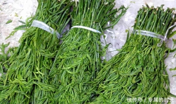 益母草膏|老中医提醒：在农村这4种野菜不仅能抗疲劳，而且还能清热排毒！