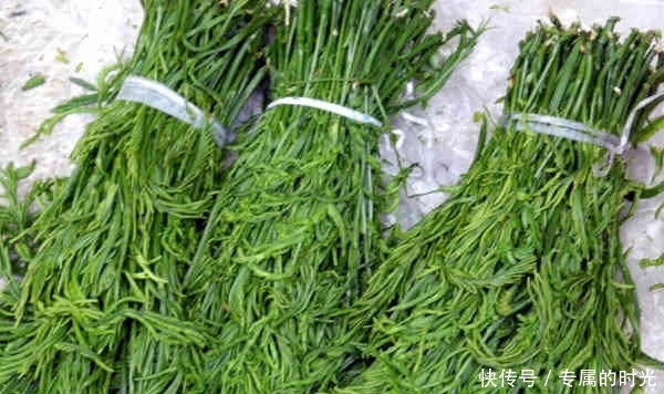 益母草膏|老中医提醒:在农村这4种野菜不仅能抗疲劳,而且还能清热排毒!