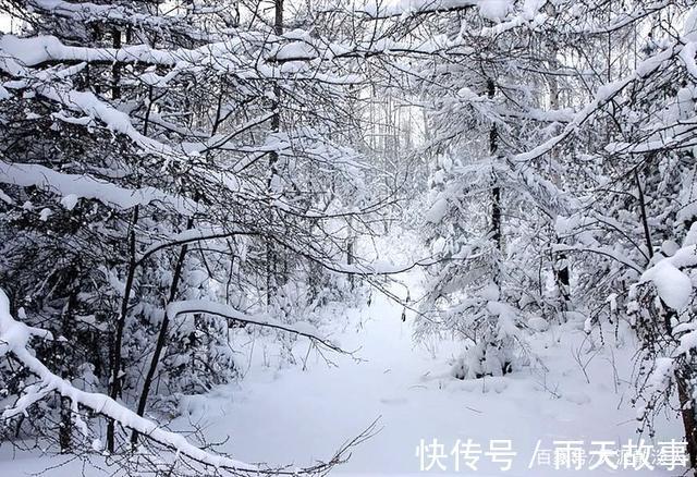 独倚栏#诗词七绝《大雪》