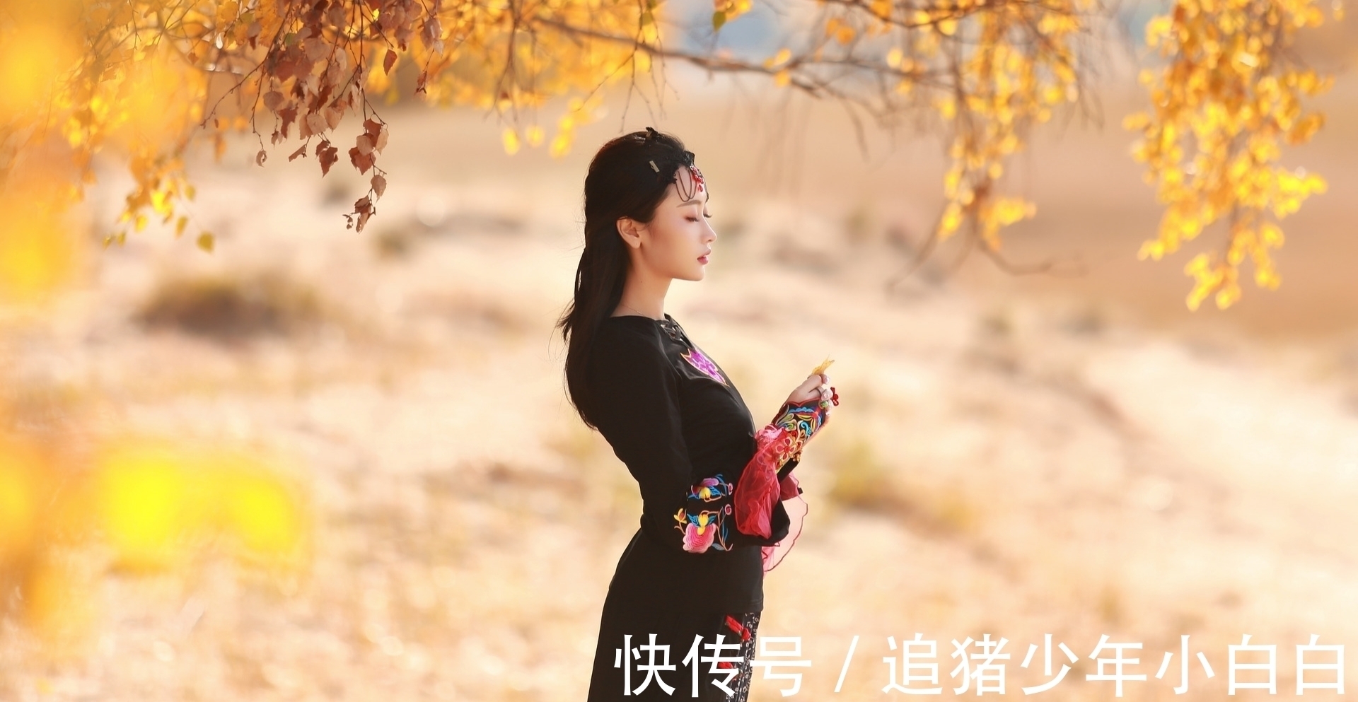 雪飞!词·八阕丨幻梦无痕焉可顾,红香叠影凝冰露