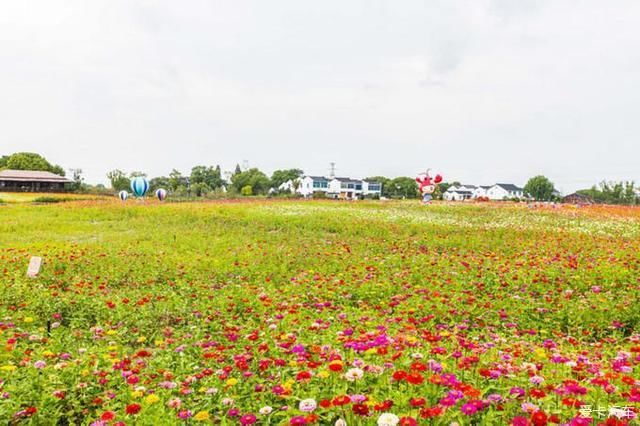 湖州惊现“山寨”西湖，连景点都几乎一样，游客：实在太像了