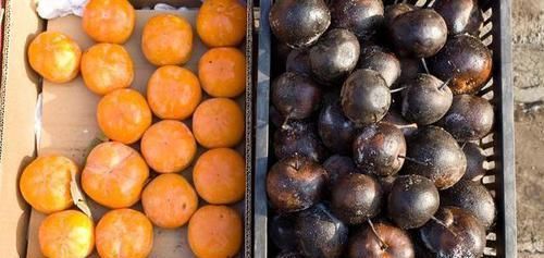 冬枣|最伤身的“水果”公布,请停止食用,有些人却当成宝,忍住就是赢