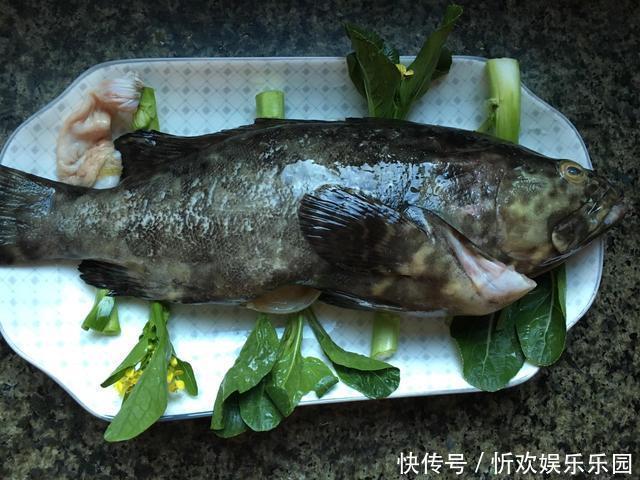星点笛鲷|国内公认最好吃的4条鱼，既营养又美味！你爱吃吗