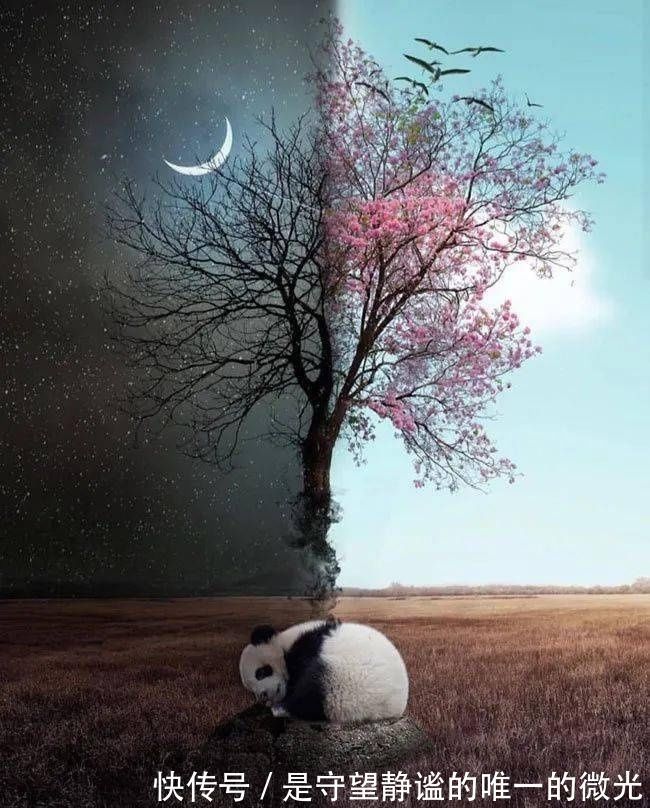 宇宙!视觉我的宇宙为你藏了无数个浪漫星球。