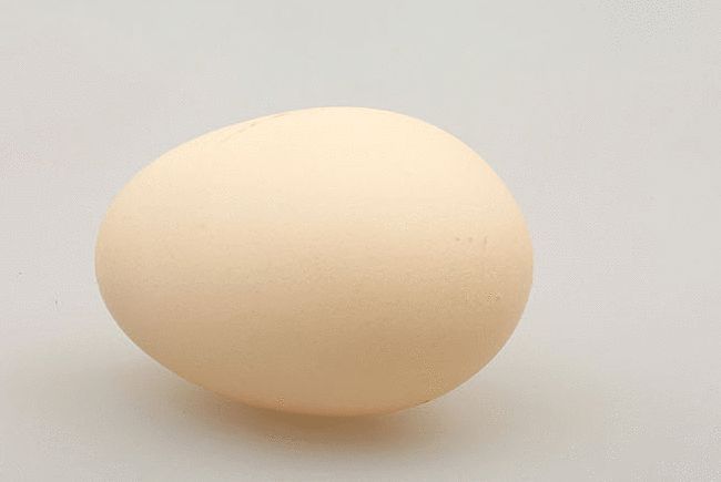 植物蛋白|如何养肝护肝,六大方法让肝更健康!