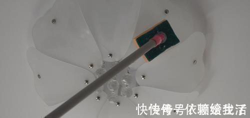 你家里有用旧不要的百洁布吗?这个用途太聪明了,越早知道越好