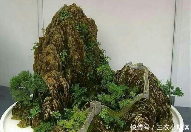 山石上|怎样才能修饰出更显自然的山水盆景