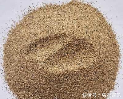 养花土壤板结,三种“玩意儿”丢盆里,土又好又肥,再也不板结了