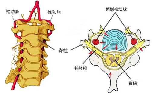 小伙|26岁小伙得上脑梗，只因这件很多人都在做的事？