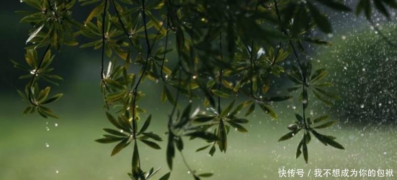  灵活|李商隐的这首《细雨》，写得灵活而新鲜，通篇写雨没有一个雨字！