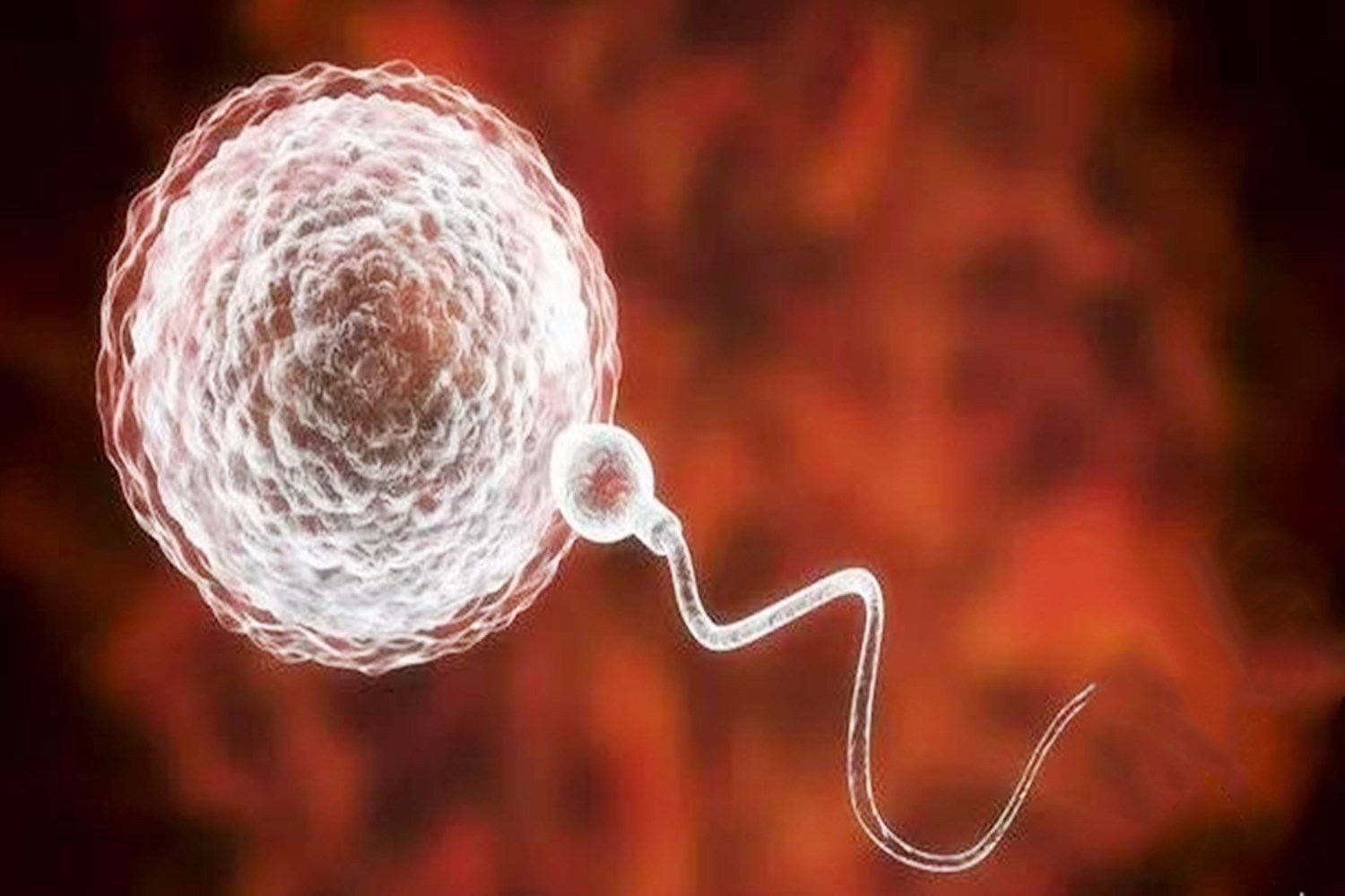 生育年龄|这三个出生时间得当,如果孩子出生,大人孩子都比较“有福”!