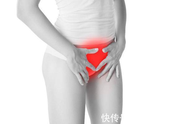 卵子|如何判断女性排卵期?除了计算周期,身体这些变化也是“信号”!