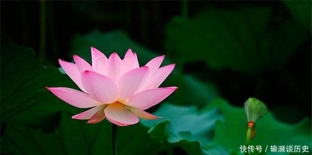 曾国藩眼中的3条“美德”,也是3条积福之道,你知道吗?