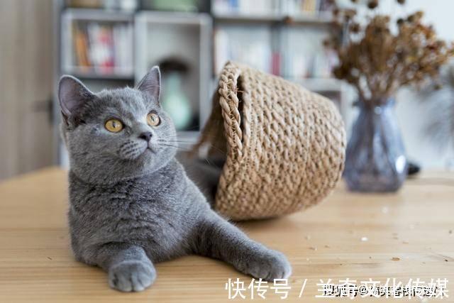 |内涵段子:我和媳妇谈恋爱,第一次在地里见了岳父岳母!