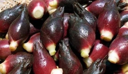 干净|女人常吃“一宝”,子宫越来越干净,远离妇科炎症,值得一试