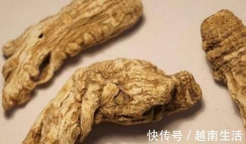 龙眼|男人到了50岁，多吃“2黑2黄”，可以补“肾气”，“肾”才会健康