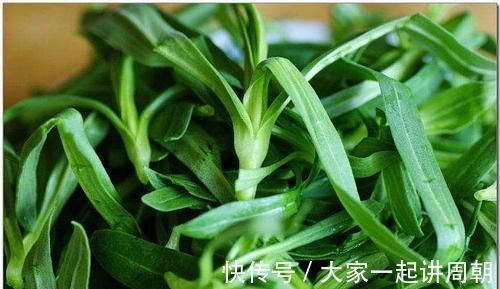 农村|又到了去农村挖野菜的季节,冀南这些常见野菜,你喜欢哪个?