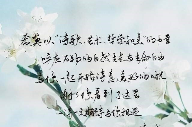 一世纪$爱不是一个名词,而是一个动词,永远的动词,无穷的动词