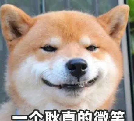 膝关节|这套“人造肌腱”装备，可保护你的老腰｜Science子刊