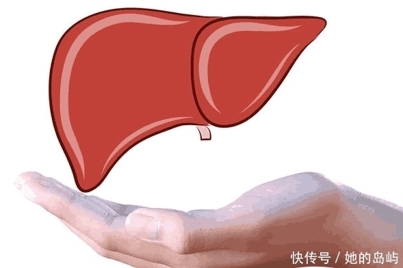 养肝|肝病科主任：2个早餐习惯不戒掉，肝脏会生病，养肝20年也白费