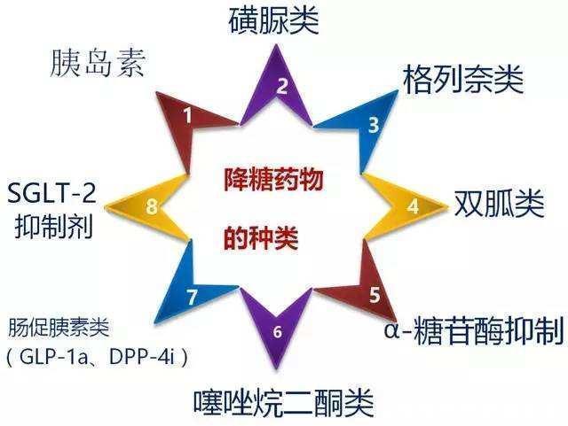 糖化血红蛋白|每日服用多少二甲双胍，可达最佳降糖效果？医生告诉你答案