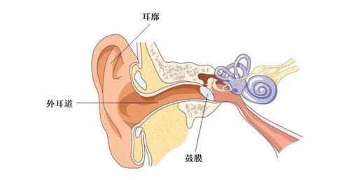 耳朵|宝宝耳朵能不能掏？耳朵进水该怎么办？这样做可致宝宝听力受损