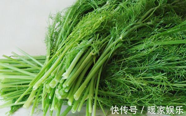 茴香菜|这种植物乡下人嫌弃味道大不吃,却不知道它是胃病克星,浑身是宝