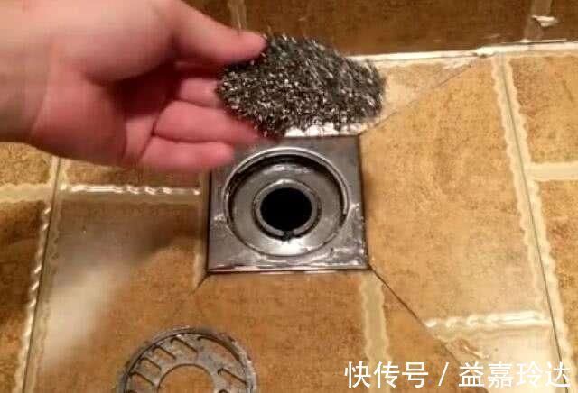 直冲式|最近卫生间总有臭味，都是这几点没做好，赶紧打扫打扫