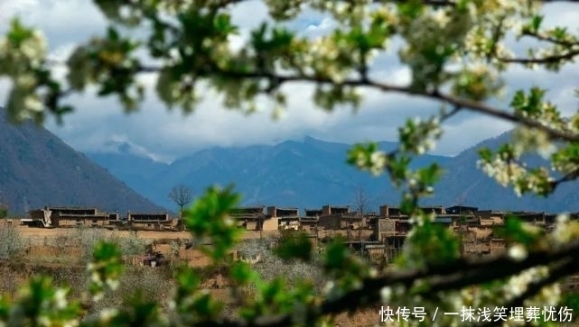 甜樱桃花开十里，云朵上花季来啦！|汶川100景 | a5313