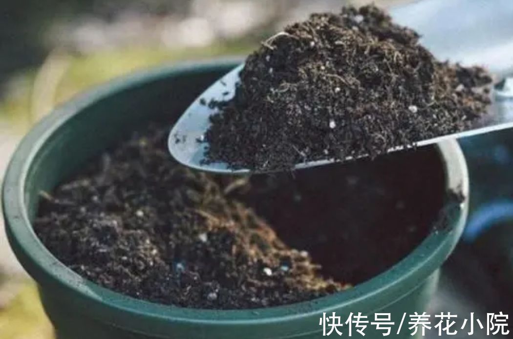 养花用什么土好?收集5种材料,配出的花土疏松透气,养啥花都旺