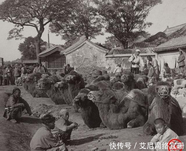 1901年老照片:电视剧演不出来的真实清朝末年社会