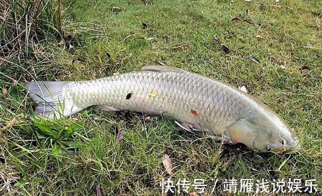这几个迹象出现时，说明大鱼已经进窝了