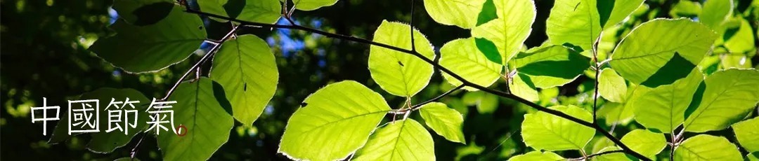 有所期&雨水|天青色等烟雨。