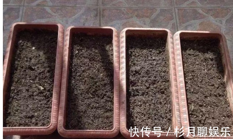 涨势|养花就用几种“神器”,花盆不积水,植物涨势好不烂根