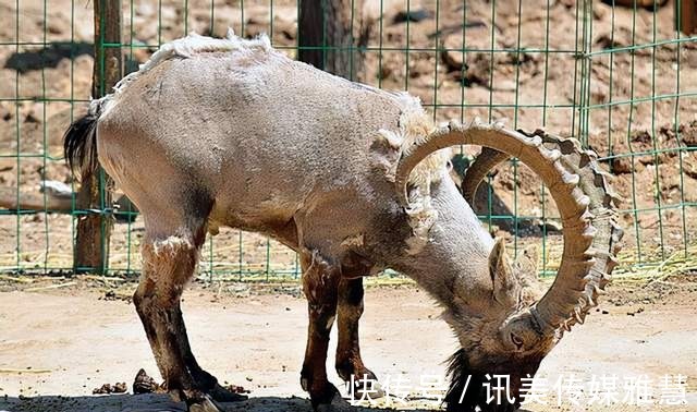 好地方|青海不能错过的几个地方，感受当地特色，休闲度假享受美好风景