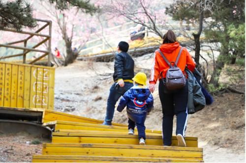 新春登高贺兰山 健康定义中国年