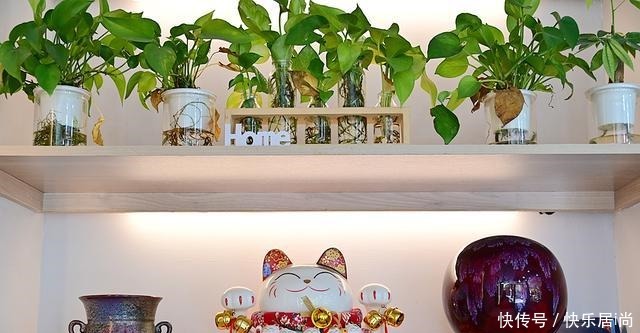 过年留厦不回家，家乡美食尽情吃，舒味海鲜约起来！