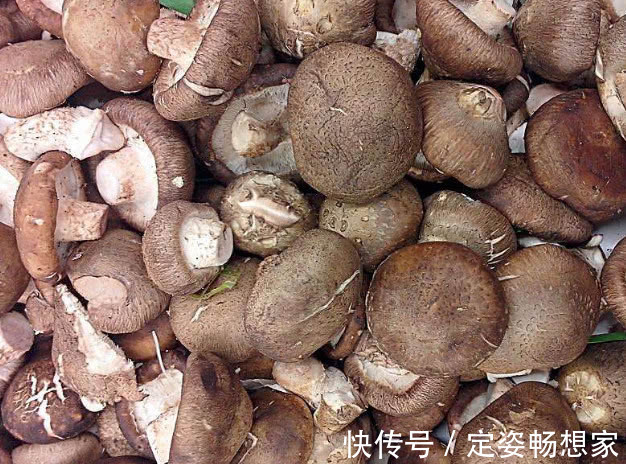 黄体酮|天然“黄体酮”,女人不妨常吃,平衡内分泌,“乳腺癌”不敢来